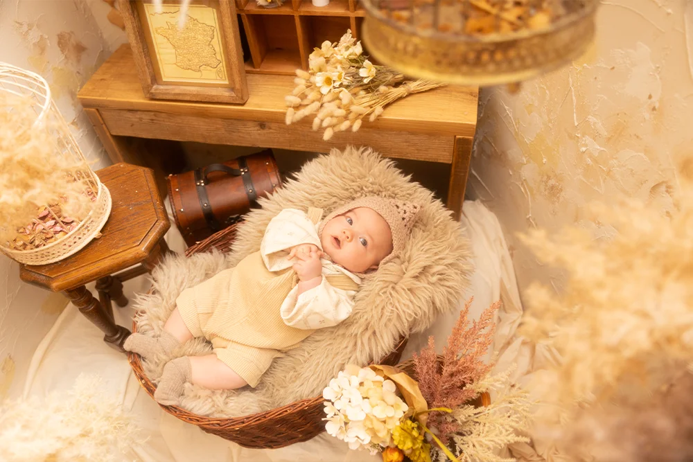 Vintage×Tradition(2)