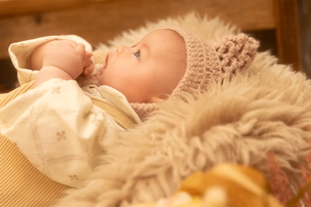 Vintage×Tradition(5)