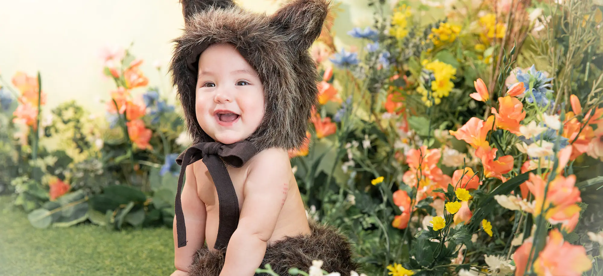 なりきりベビーウルフ(1)