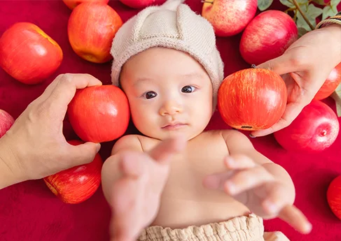 百日写真 Basket of apples