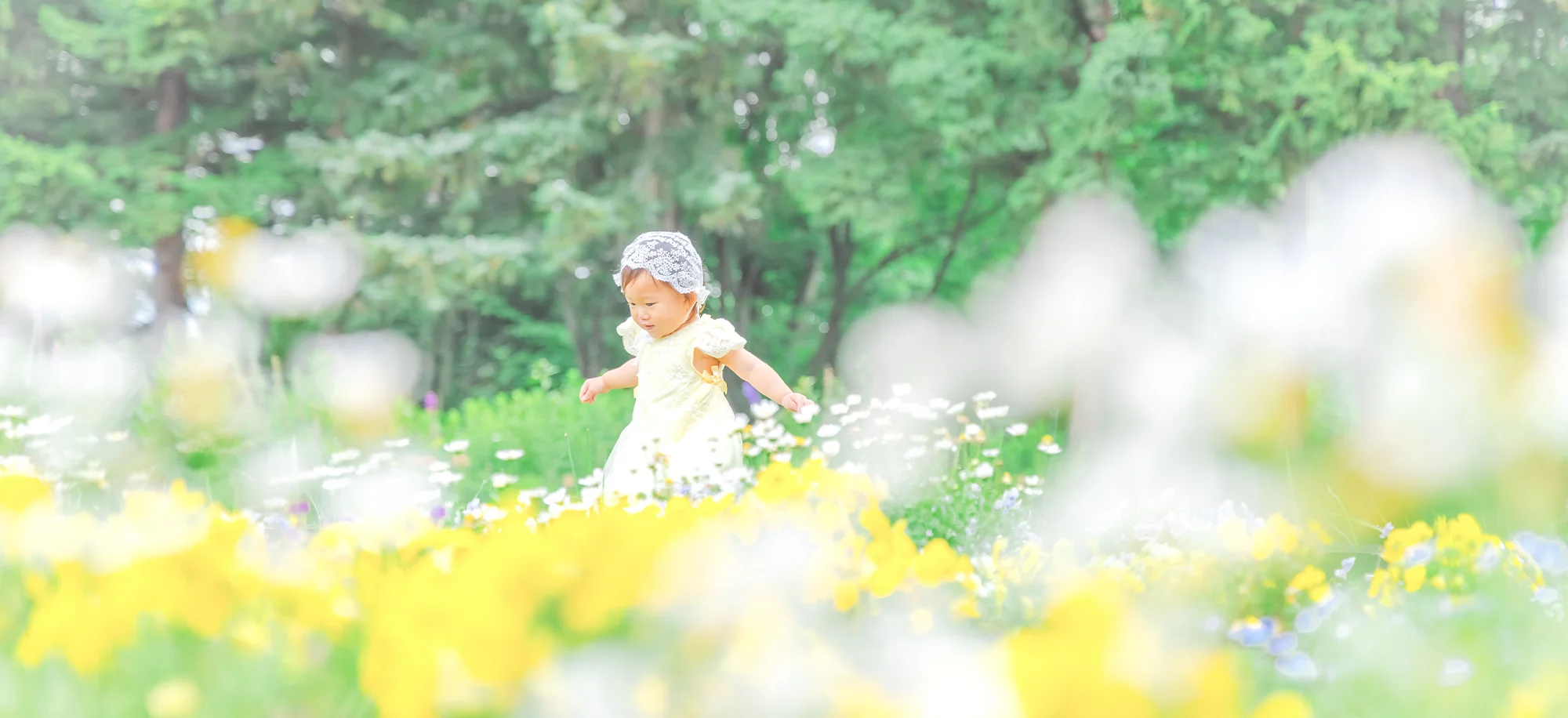 Garden story(1)