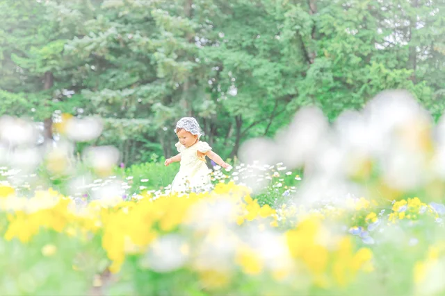 Garden story(1)
