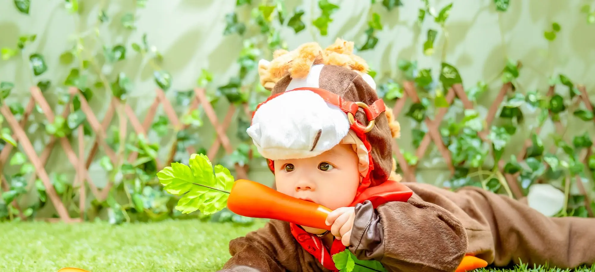 A hose loves carrots(1)