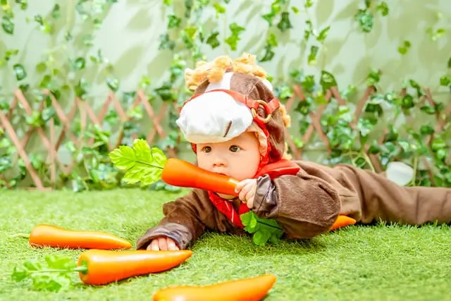 A hose loves carrots(1)