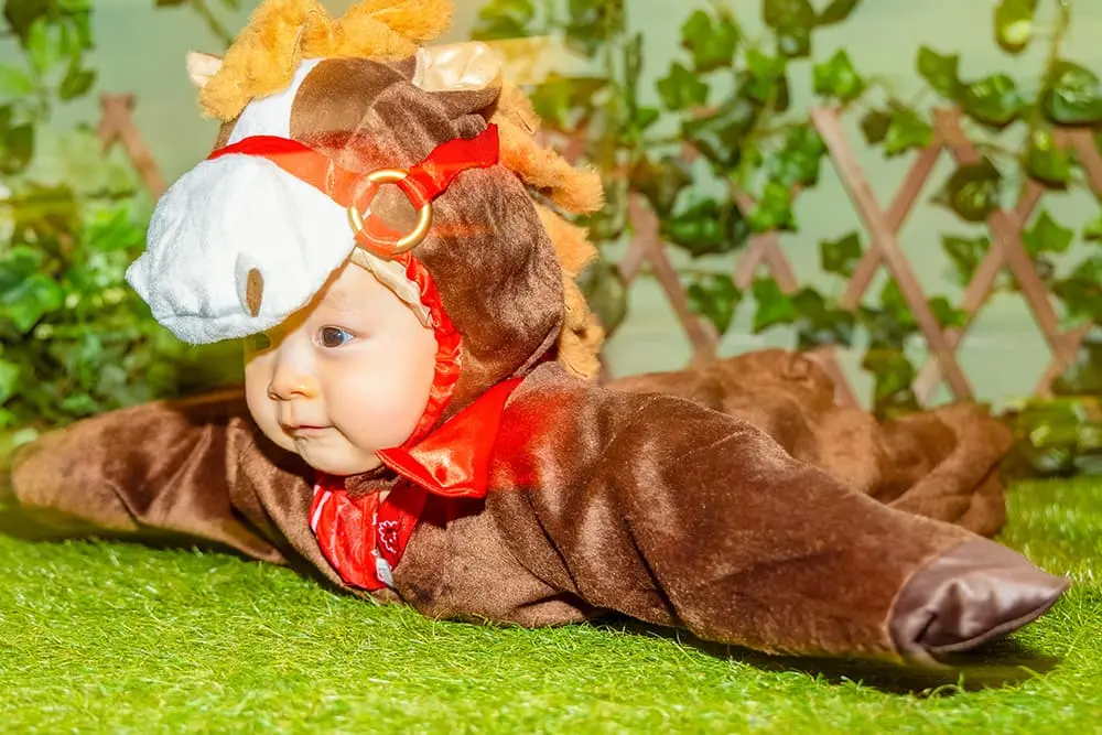 A hose loves carrots(2)