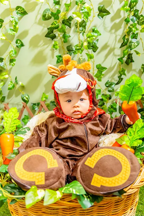 A hose loves carrots(3)