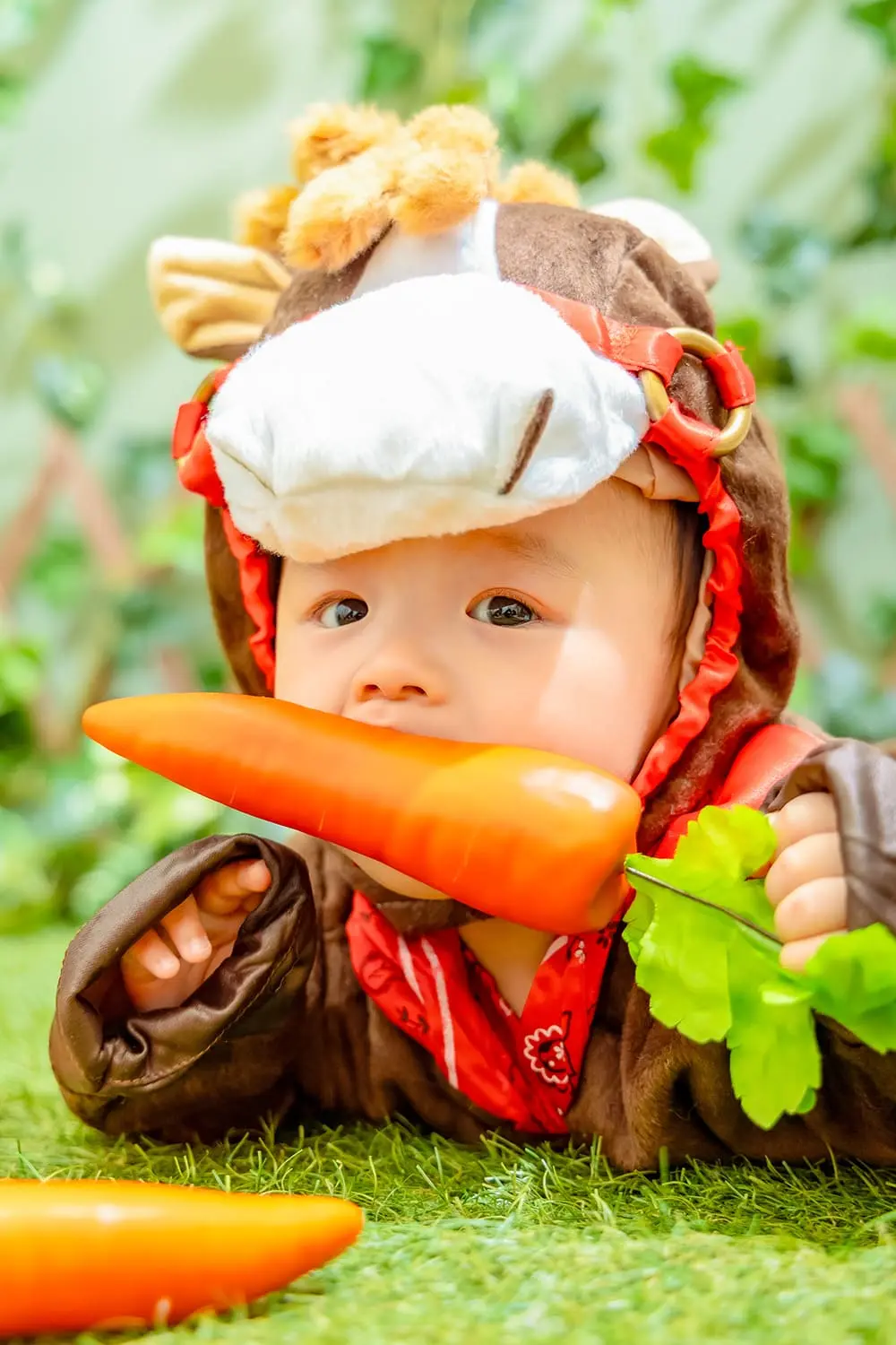 A hose loves carrots(5)