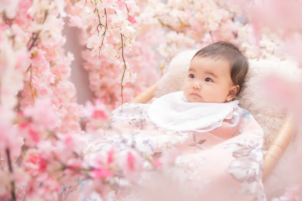 かすみさくら(2)