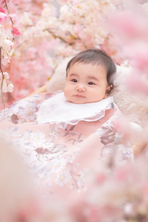 かすみさくら(3)