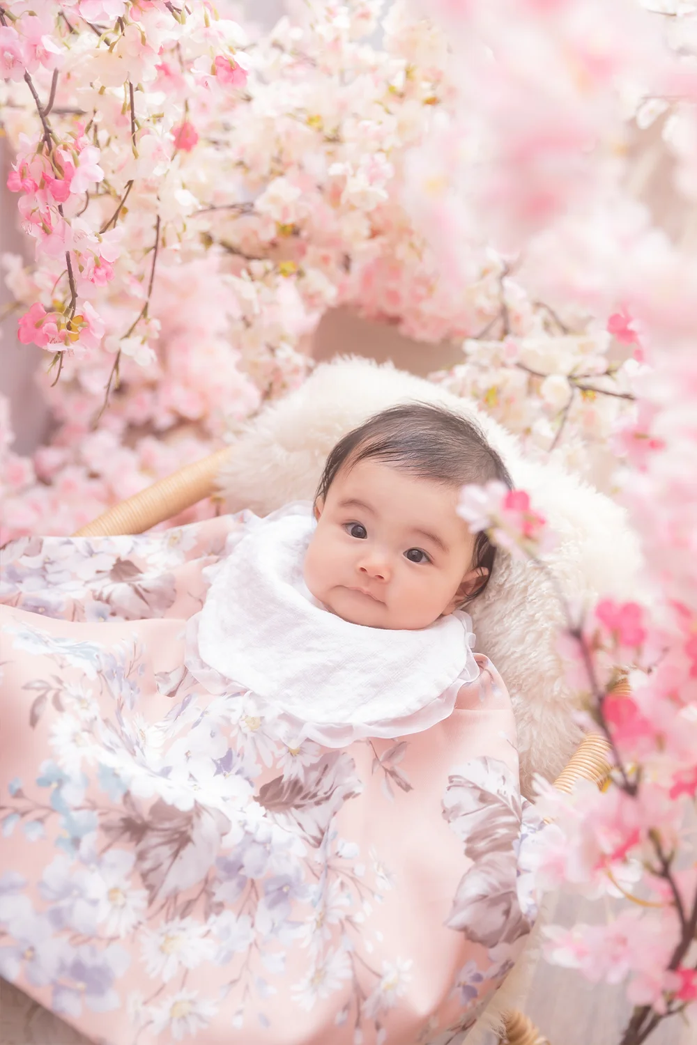 かすみさくら(5)