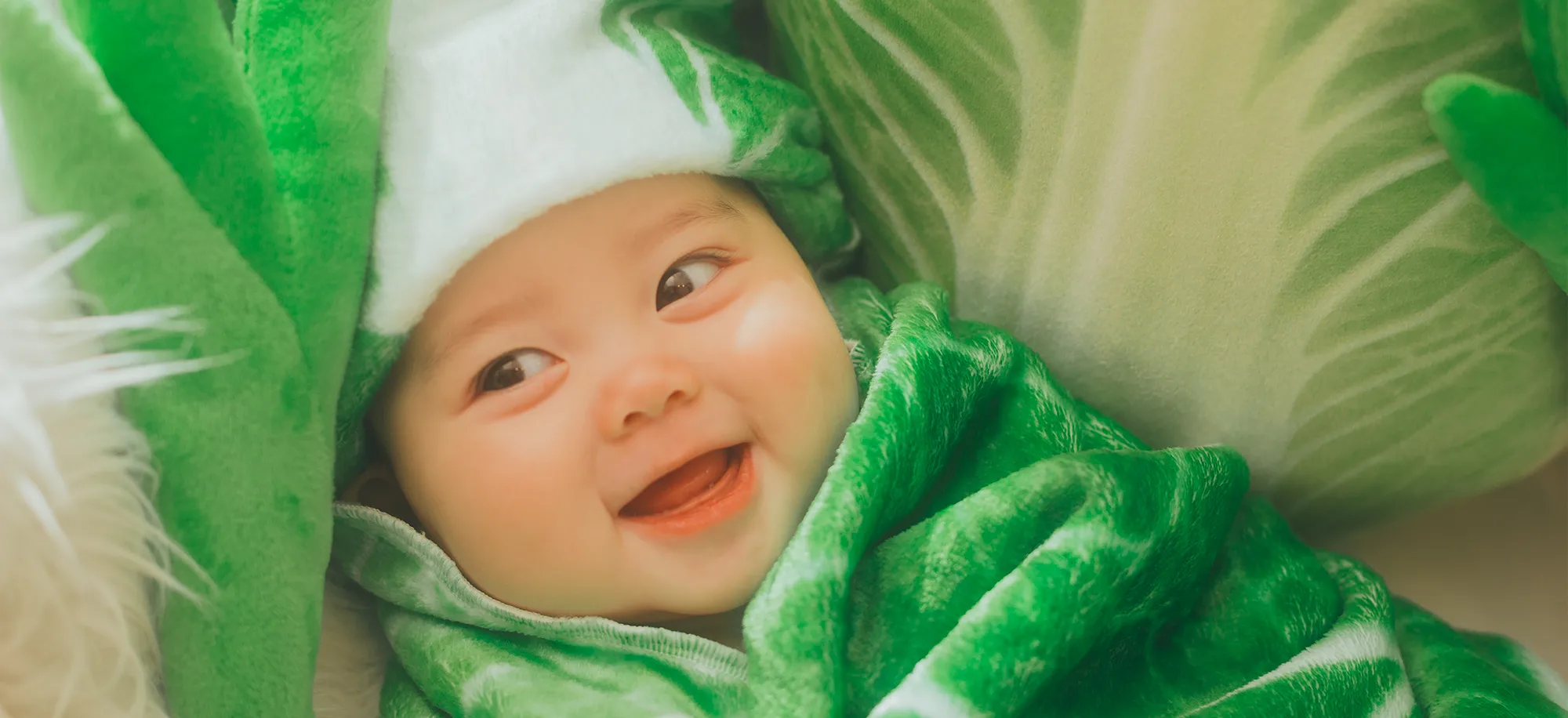 お鍋の白菜さん(1)