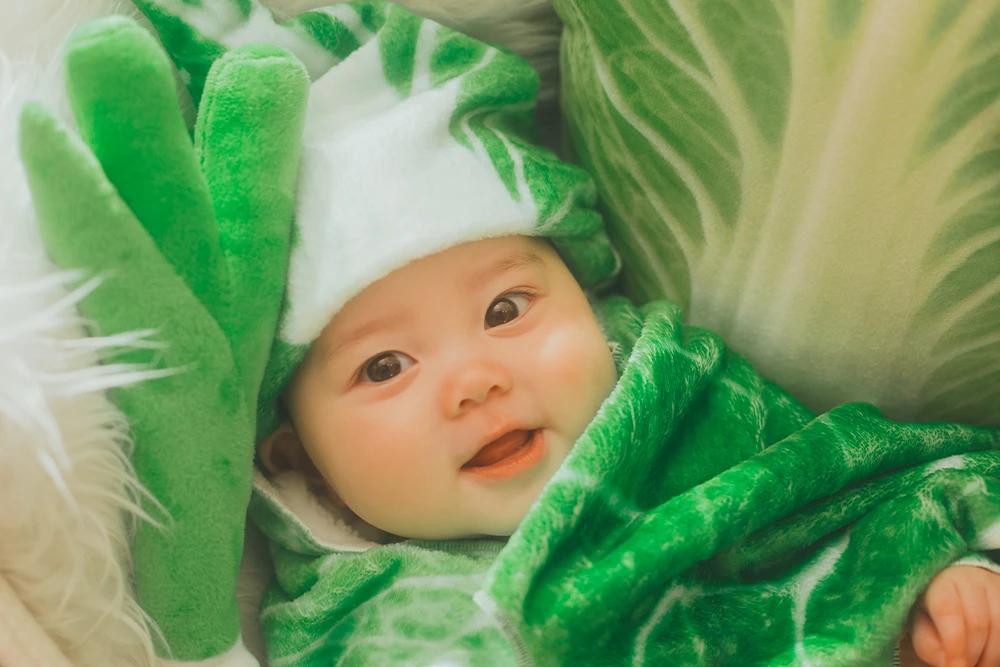 お鍋の白菜さん(2)