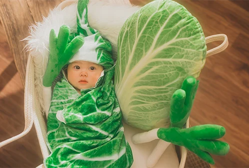 お鍋の白菜さん(3)