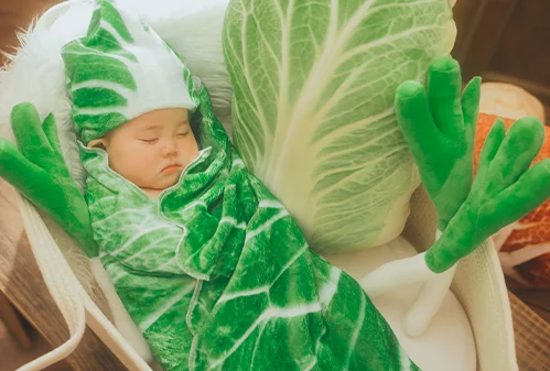 お鍋の白菜さん(4)