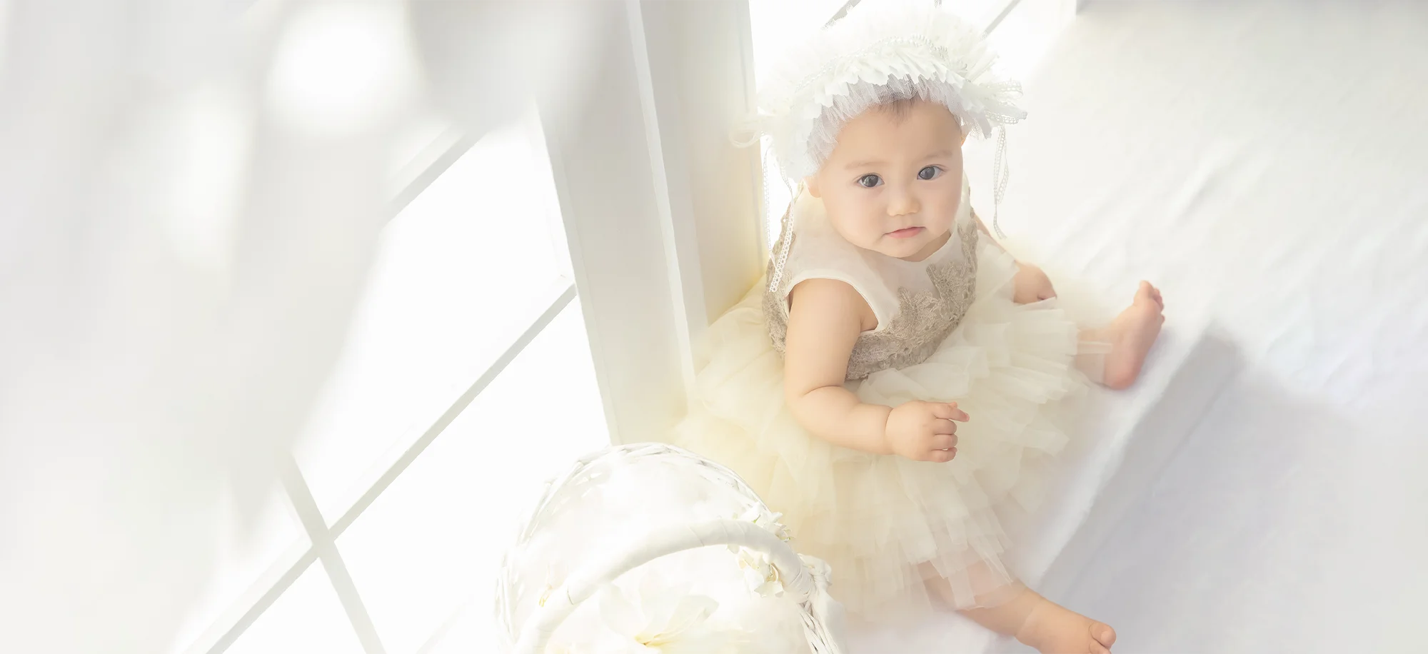 Pure Dolly