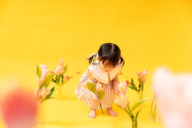 Sunny tulip
