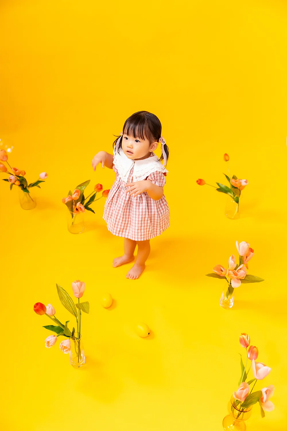 Sunny tulip(5)