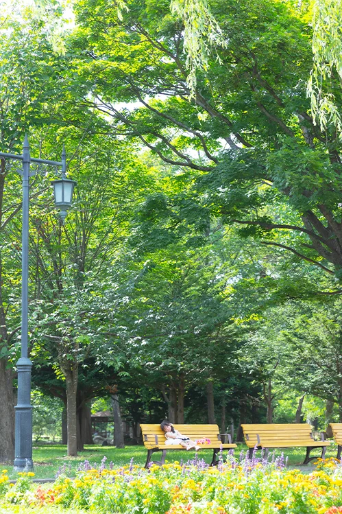 A princess’s day begins(3)