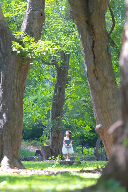 A princess’s day begins(4)