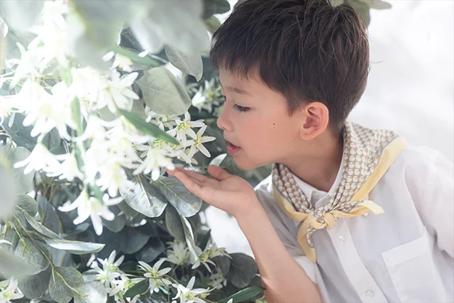 Lemonade boy(1)