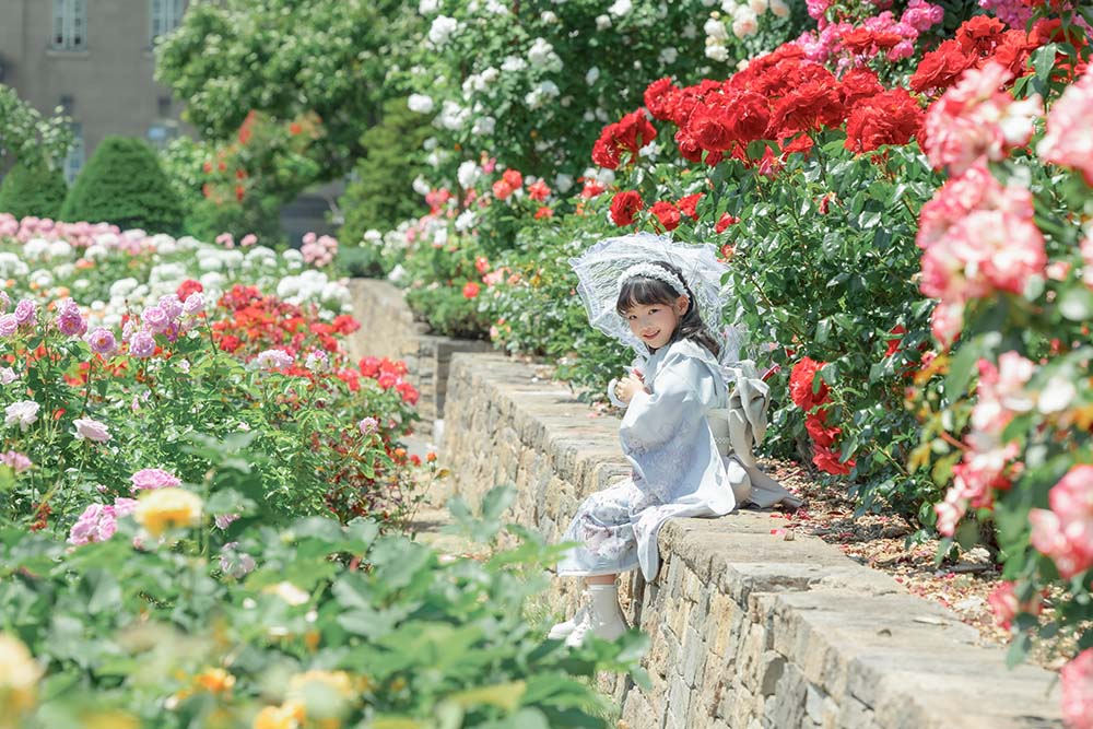 大通公園バラ園ロケ(2)