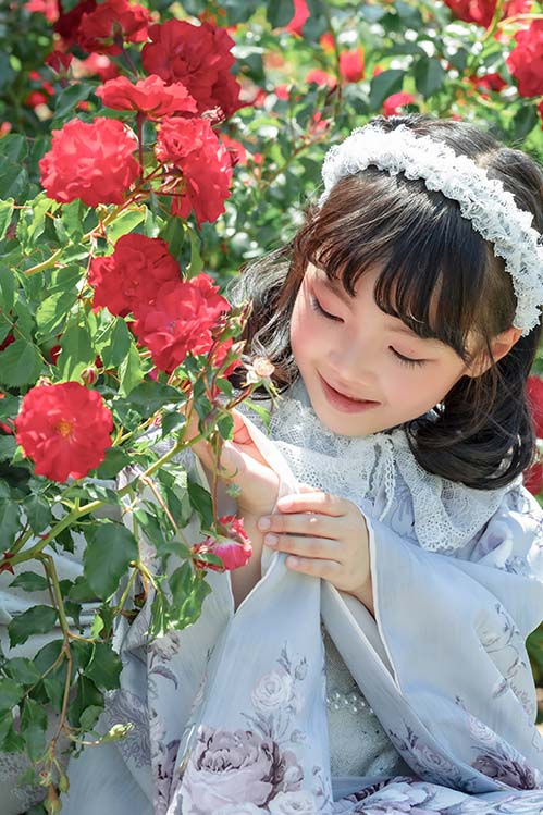大通公園バラ園ロケ(3)