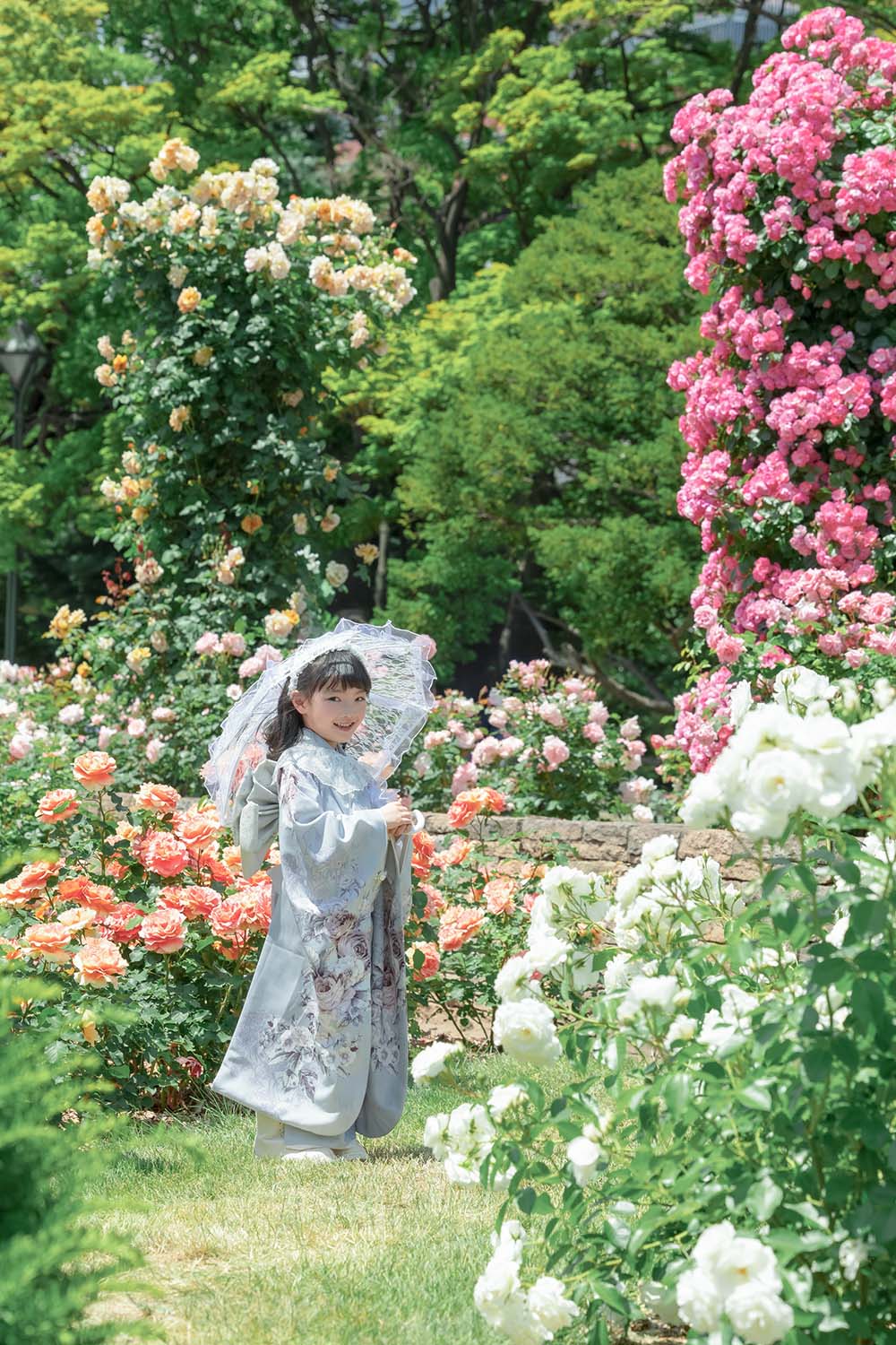 大通公園バラ園ロケ(5)