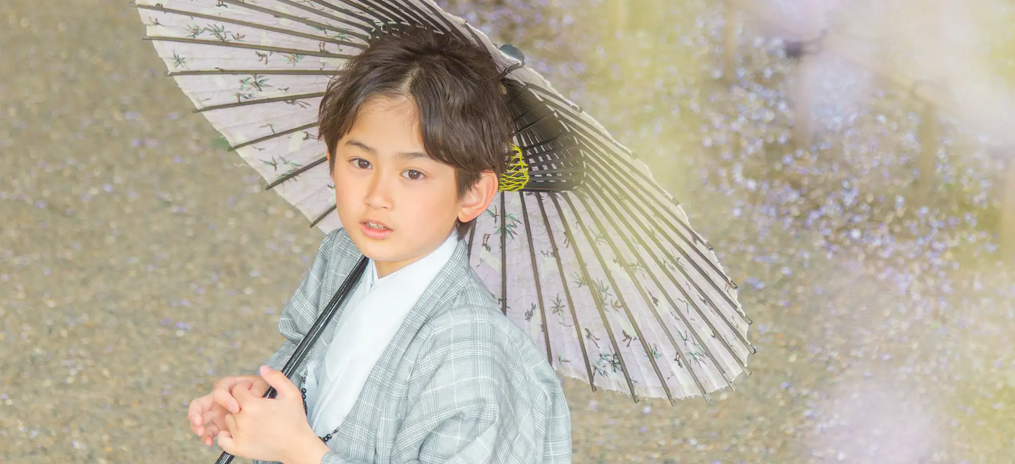 五稜郭公園 藤(1)