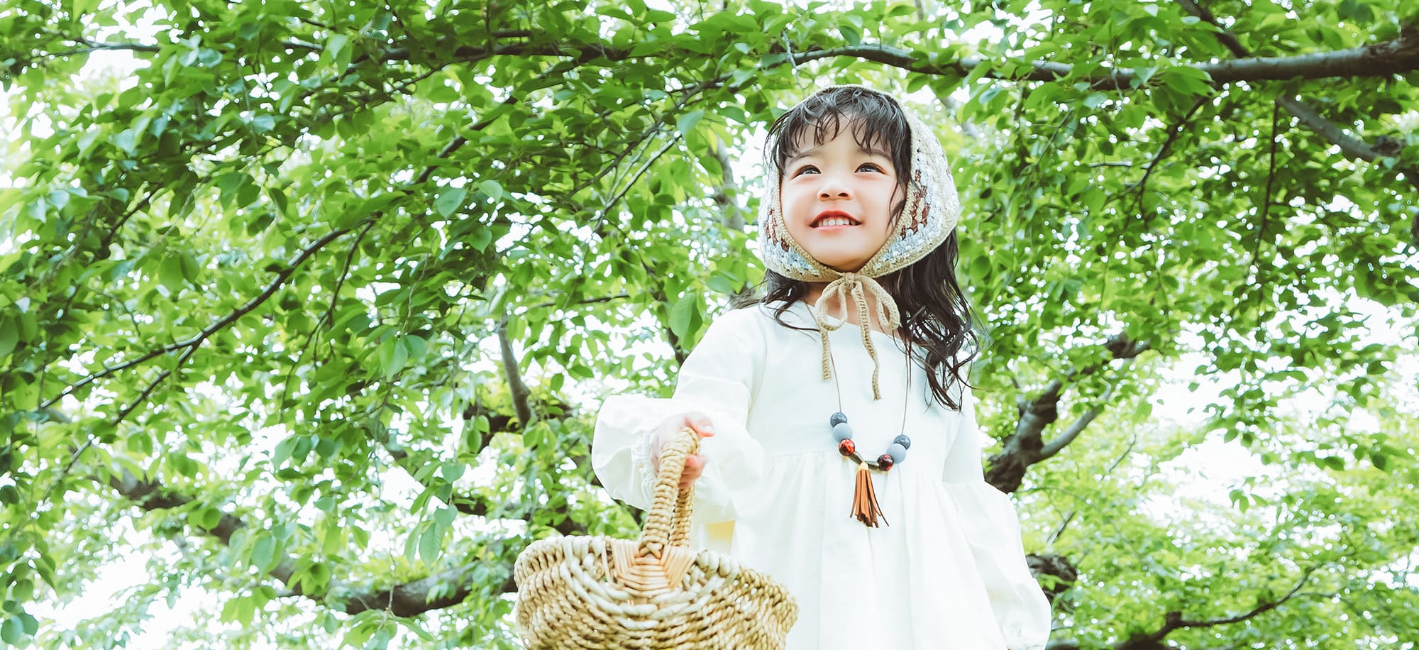 森のひだまりと小さな旅人(1)
