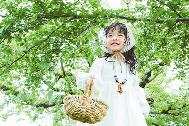 森のひだまりと小さな旅人(1)