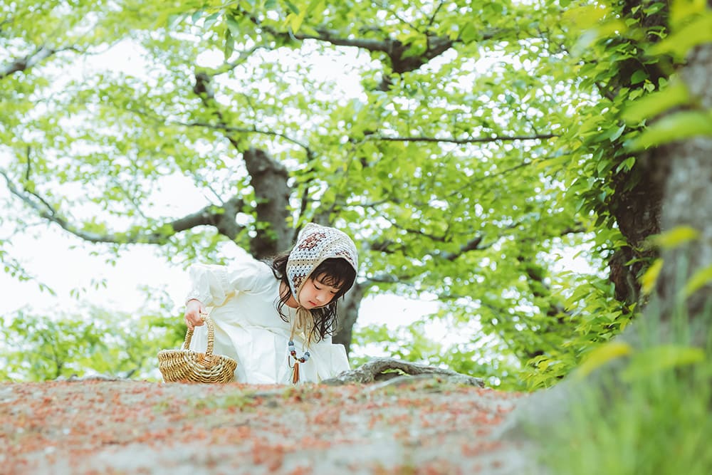 森のひだまりと小さな旅人(2)