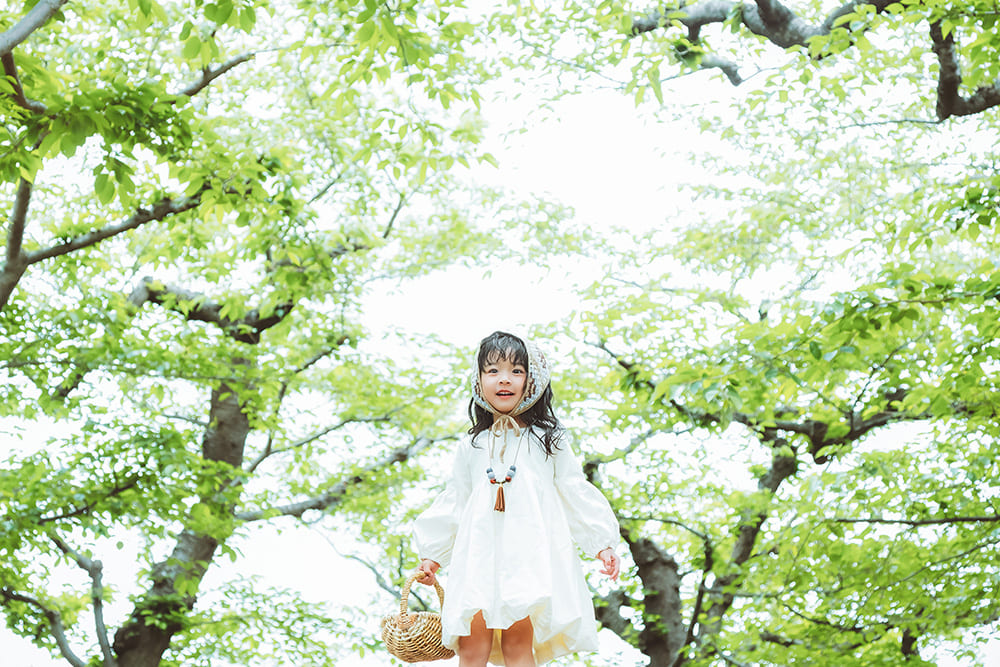 森のひだまりと小さな旅人(5)