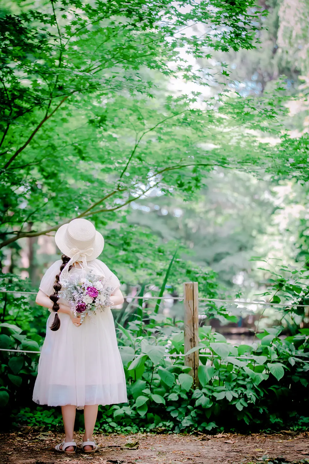 Deep forest dream(5)