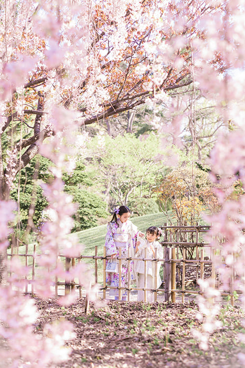 中島公園桜ロケーション(和装)(3)