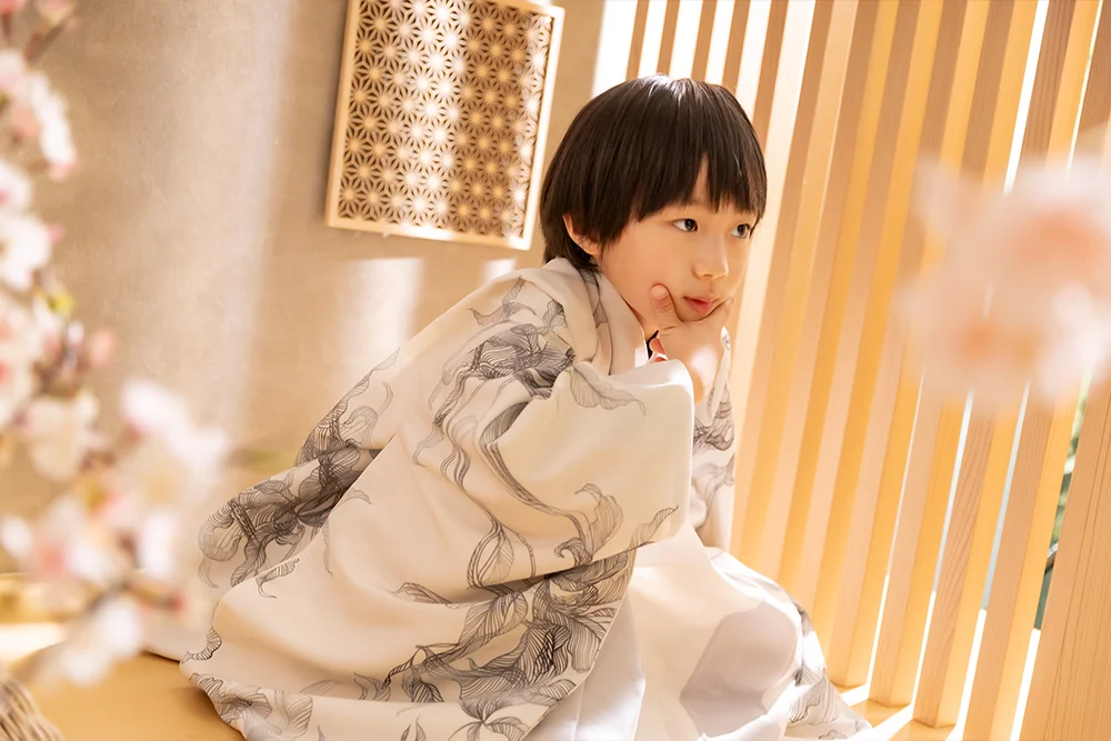 WaModern × Shadow(2)