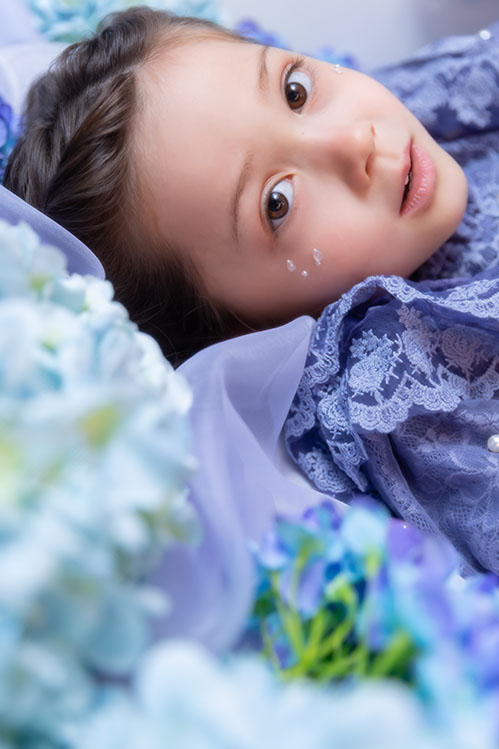 hydrangea(3)