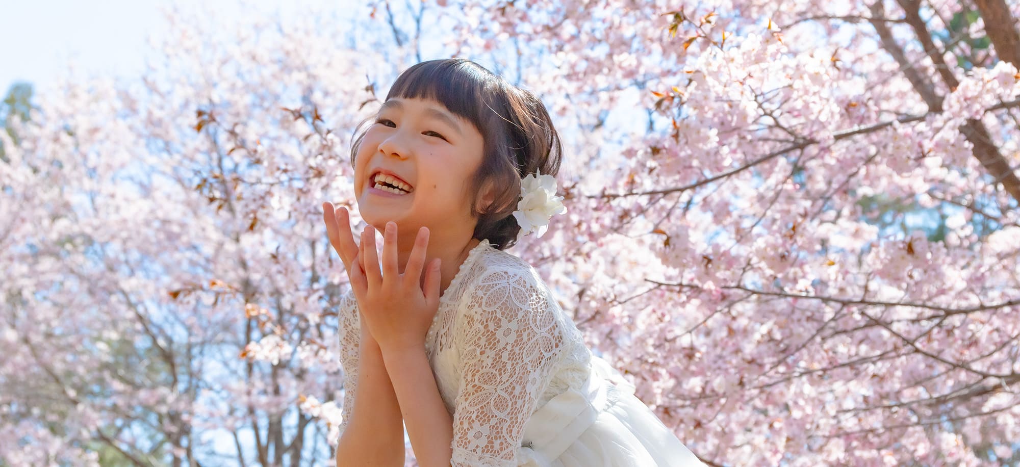 SAKURA Happiness(1)