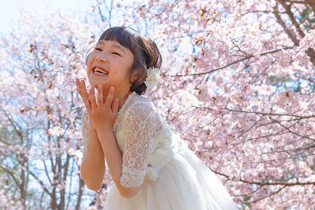 SAKURA Happiness(1)