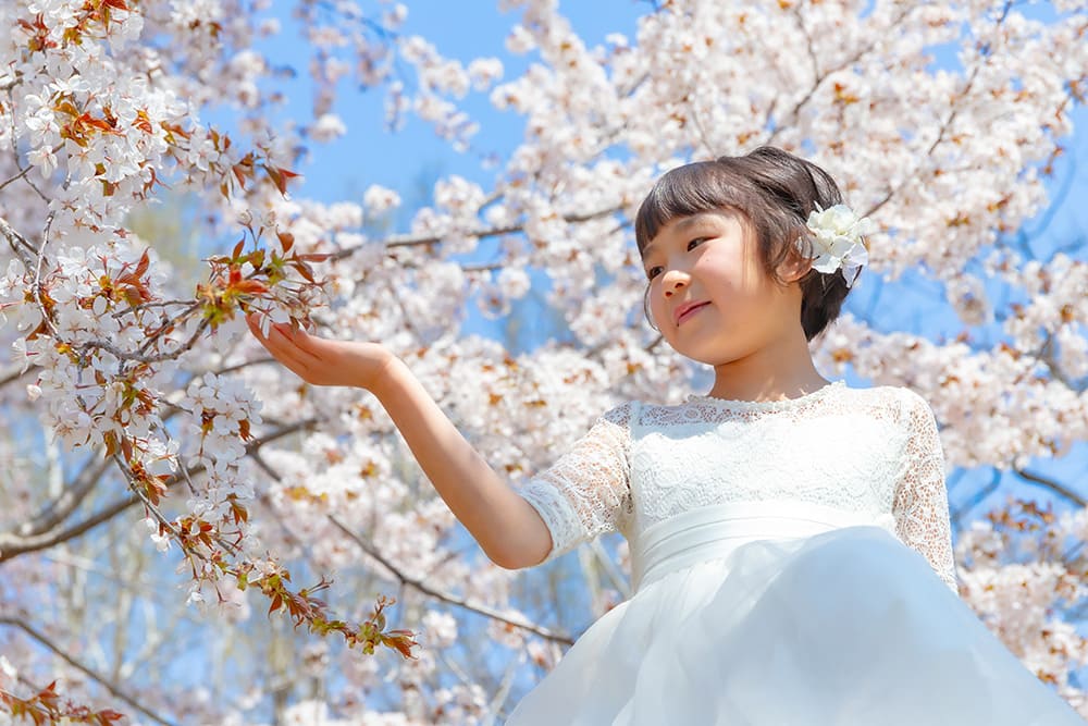 SAKURA Happiness(2)