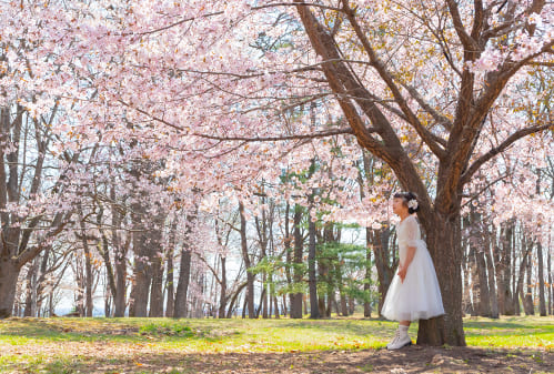SAKURA Happiness(4)