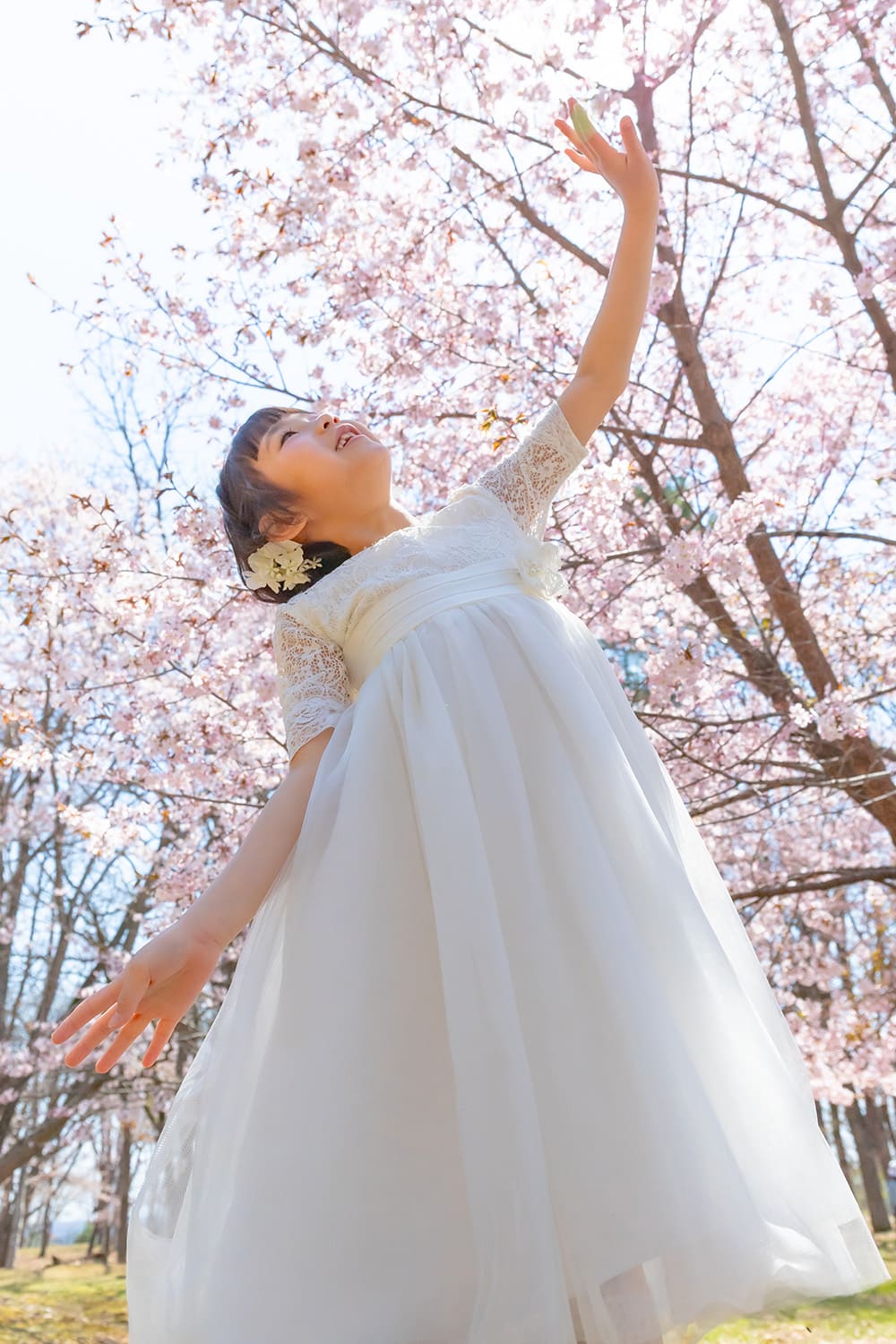 SAKURA Happiness(5)