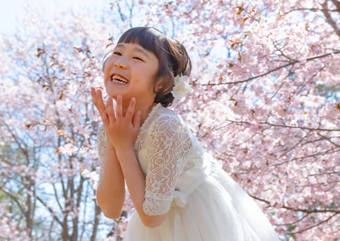 七五三写真 SAKURA Happiness