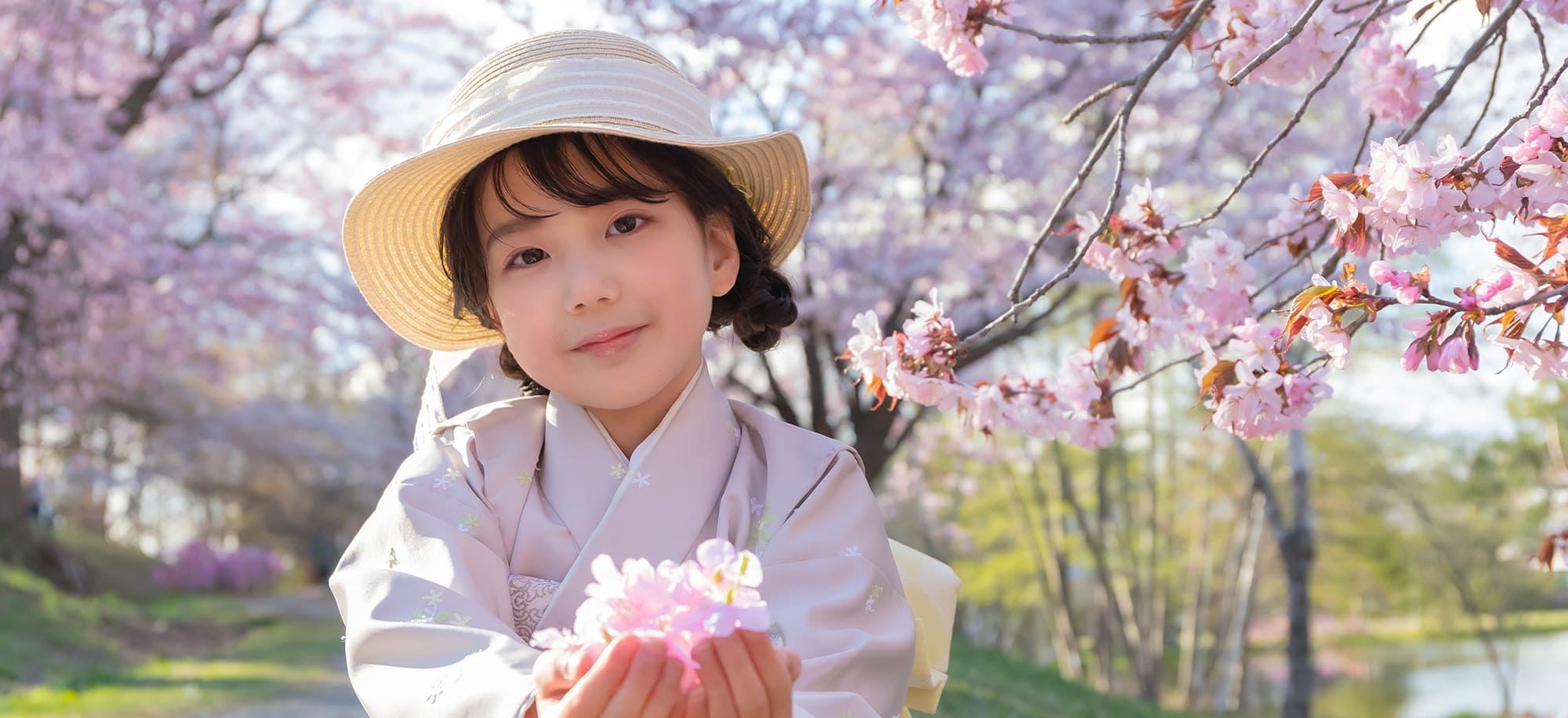 SAKURA Sanpo(1)