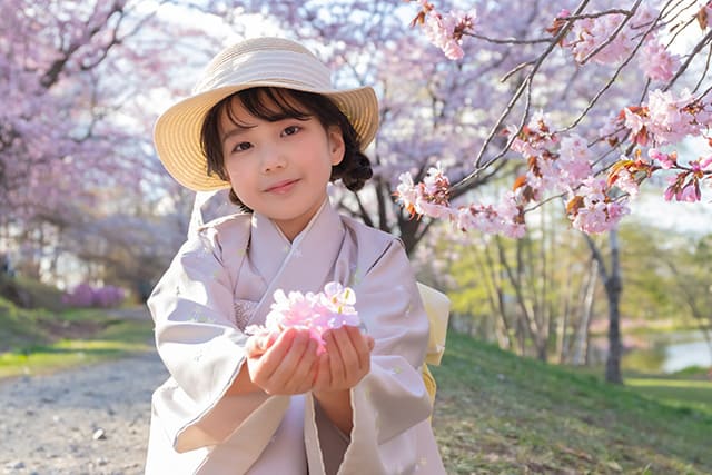 SAKURA Sanpo(1)