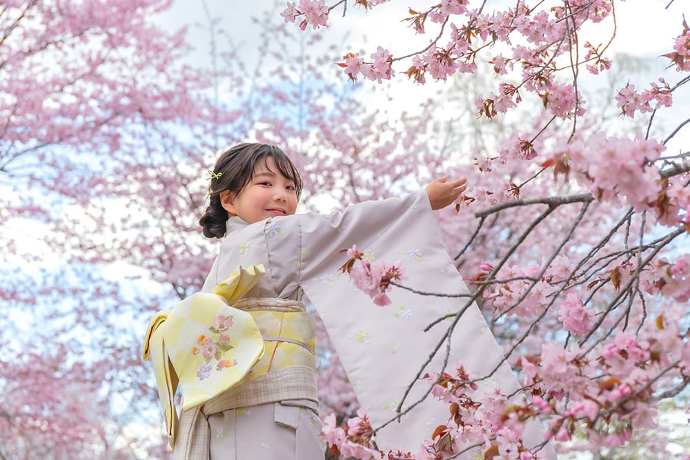 SAKURA Sanpo(2)