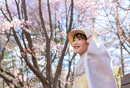 SAKURA Sanpo(3)