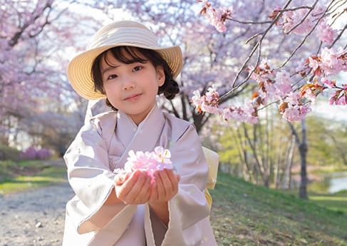 七五三写真 SAKURA Sanpo