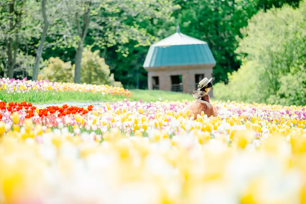 滝野すずらん丘陵公園(2)