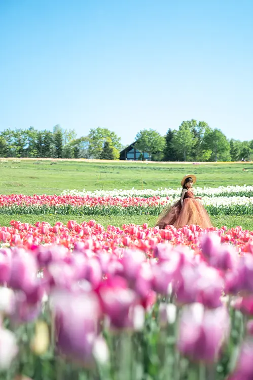 滝野すずらん丘陵公園(6)