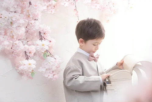 Transparent cherry blossomsS(3)